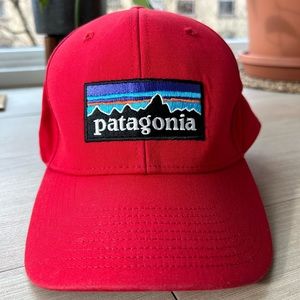 Patagonia Baseball Hat